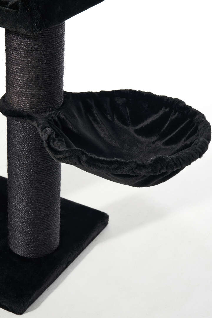 Nobby Kratzbaum Yoan